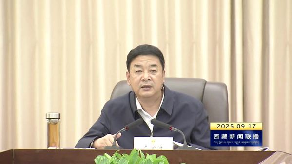 嚴金海在自治區(qū)人大常委會黨組黨的建設(shè)工作領(lǐng)導(dǎo)小組會議上強調(diào)：堅決打贏作風(fēng)建設(shè)持久戰(zhàn)攻堅戰(zhàn)陣地戰(zhàn)保衛(wèi)戰(zhàn)責(zé)任戰(zhàn) 以良好的作風(fēng)形象展現(xiàn)人大擔當和作為