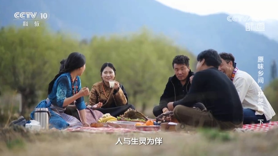 《味道》原味乡间·林芝篇（下）