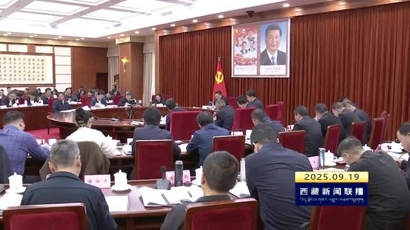 嘎玛泽登主持召开自治区政府党组理论学习中心组（扩大）学习会 深入学习贯彻习近平总书记在西藏视察时的重要讲话精神 努力建设团结富裕文明和谐美丽的社会主义现代化新西藏