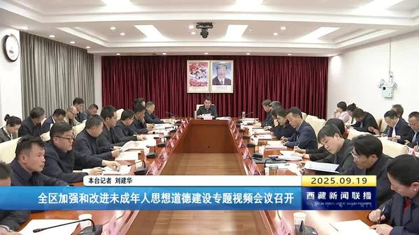 西藏自治区加强和改进未成年人思想道德建设专题视频会议召开