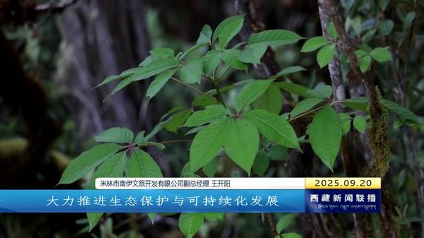 【庆祝西藏自治区成立60周年大型新闻行动 74县行记·新貌】米林市：雅江两岸产业涌春潮