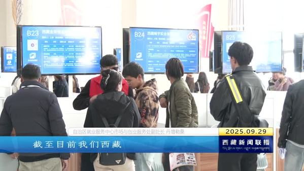 “职引未来 筑梦西藏”2025年秋季专场招聘会举行