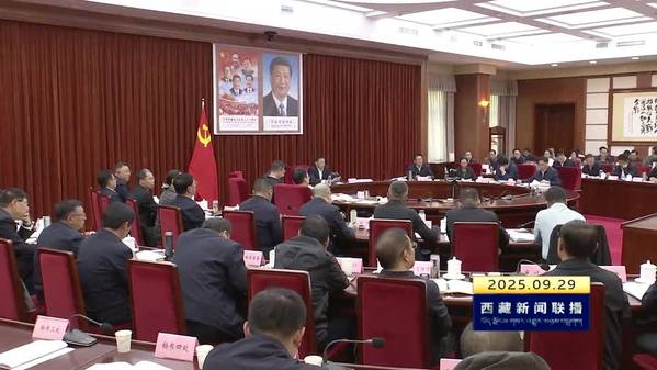 嘎玛泽登主持召开西藏自治区政府党组理论学习中心组（扩大）学习会