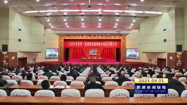 十届西藏自治区党委第七轮巡视完成反馈