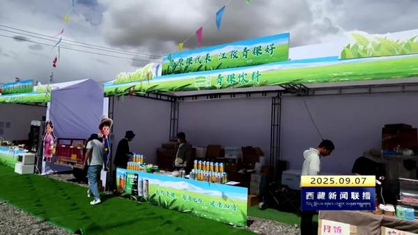 2025年江孜达玛节开幕