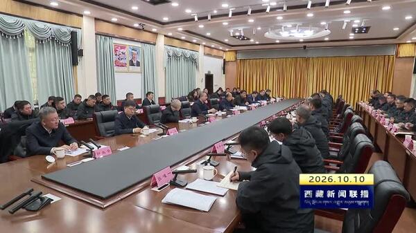 黑龙江省党政代表团到西藏考察并座谈