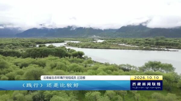 嘉宾实地考察高原生态 点赞绿色发展实践