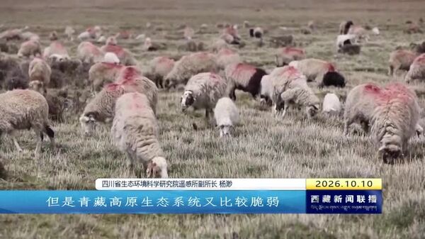 智汇南迦巴瓦 守护高原生态
