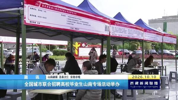 全国城市联合招聘高校毕业生山南专场活动举办