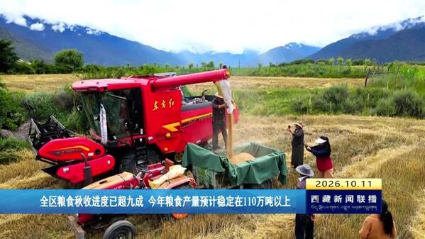 西藏自治区粮食秋收进度已超九成 