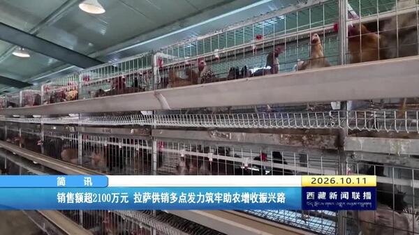 拉萨供销多点发力筑牢助农增收振兴路