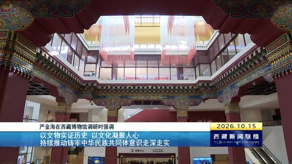 严金海在西藏博物馆调研时强调：以文物实证历史 以文化凝聚人心 持续推动铸牢中华民族共同体意识走深走实