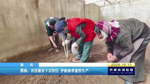 那曲：农技服务下沉牧区 护航秋季畜牧生产