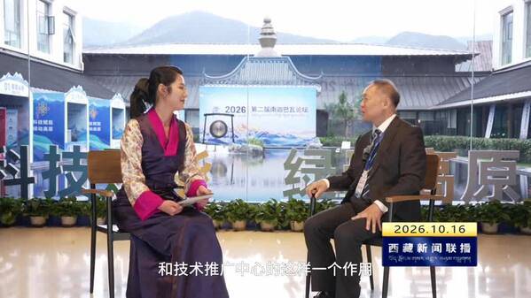 中国科学院院士崔鹏：西藏能够在全球自然灾害防治中发挥重要作用