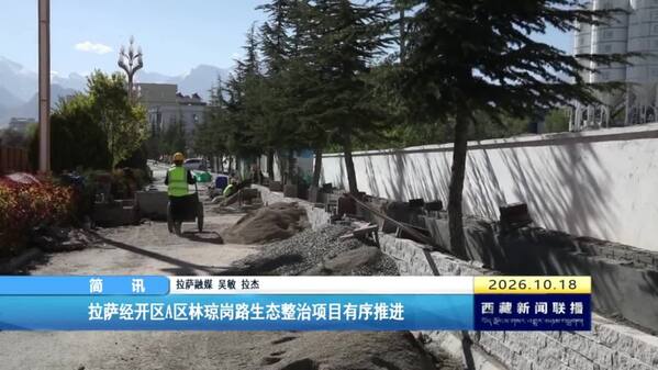 拉萨经开区A区林琼岗路生态整治项目有序推进