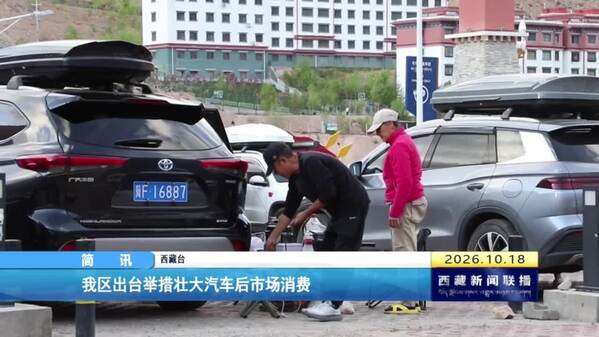 西藏自治区出举措壮大汽车后市场消费