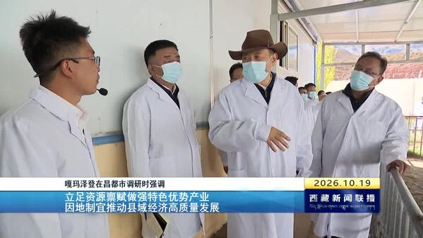 嘎玛泽登在昌都市调研