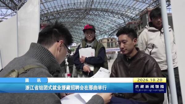 浙江省组团式就业援藏招聘会在那曲举行