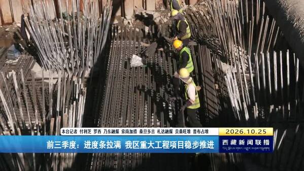 前三季度：进度条拉满 西藏自治区重大工程项目稳步推进