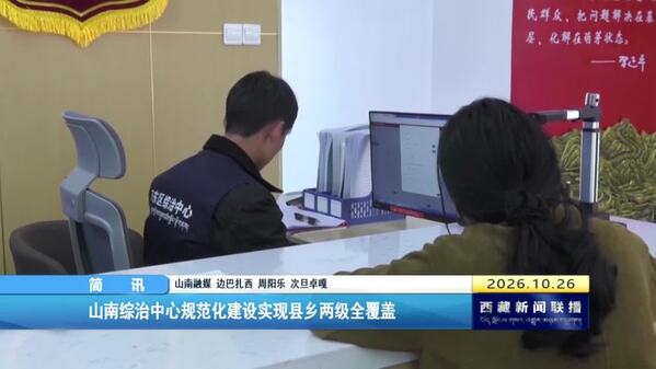 山南综治中心规范化建设实现县乡两级全覆盖