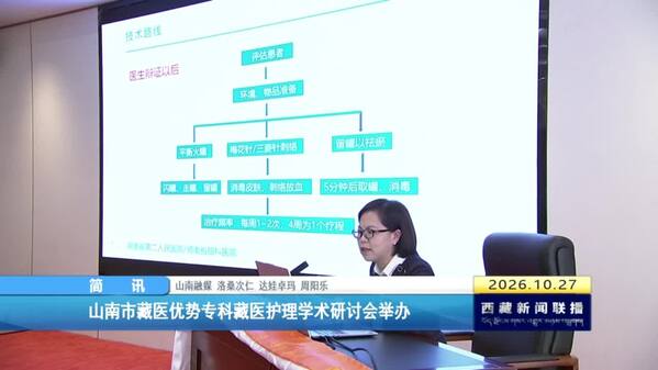 山南市藏医优势专科藏医护理学术研讨会举办