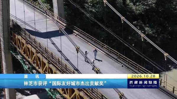 林芝市获评“国际友好城市杰出贡献奖”