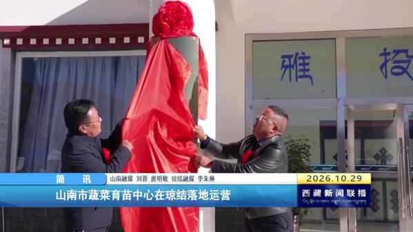 山南市蔬菜育苗中心在琼结落地运营