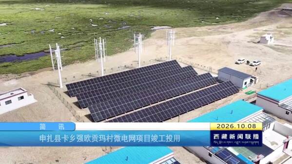 申扎县卡乡强欧贡玛村微电网项目竣工投用
