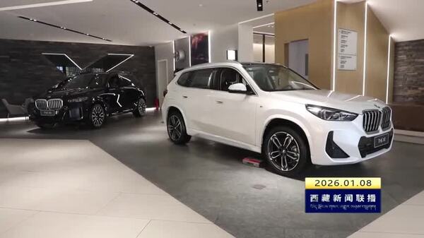 “幸福拉萨·优享生活”开门红系列促消费活动拉动消费超1亿元