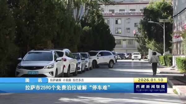 拉萨市2590个免费泊位破解“停车难”