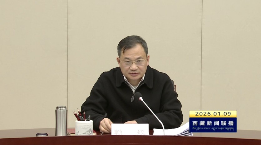 赖蛟在区党委组织部部署“三大节日”期间走访慰问工作时强调 加强党内关怀 传递组织温暖 为谱写中国式现代化西藏新篇章汇聚智慧力量