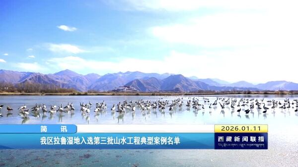 西藏自治区拉鲁湿地入选第三批山水工程典型案例名单