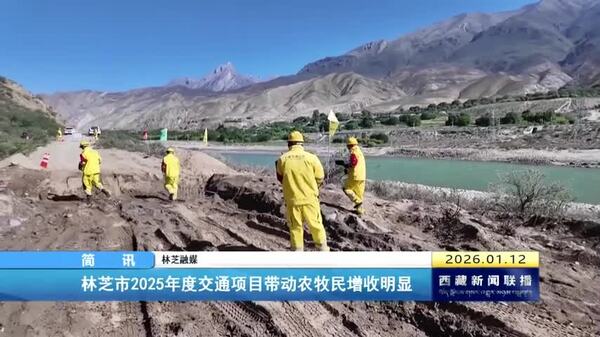 林芝市2025年度交通项目带动农牧民增收明显