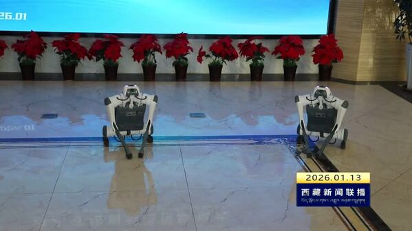 拉萨市数字经济产业孵化联盟成立 助力产业发展