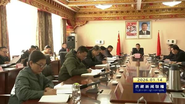 斯朗尼玛在区党委统战部理论学习中心组学习会上强调 坚决落实二十届中央纪委五次全会精神 持续推动统战系统纪律作风建设取得实效