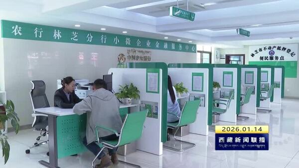 西藏自治区各项贷款余额首次突破7000亿元大关 增速全国第一