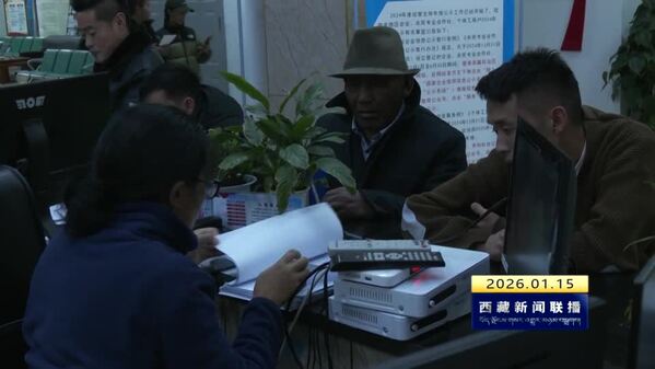 【改进作风“见”落实】阿里：政务服务从“能办”向“好办快办”转变