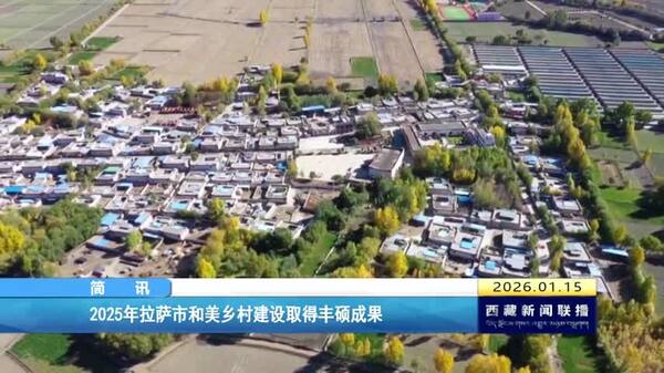 2025年拉萨市和美乡村建设取得丰硕成果