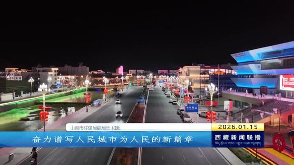 山南：坚持“五化”协同推进 全面提升城市综合品质