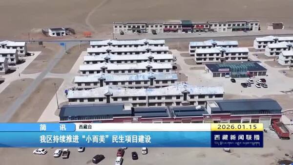 西藏自治区持续推进“小而美”民生项目建设
