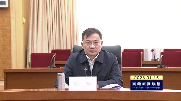 西藏自治区党委常委会召开2025年度民主生活会