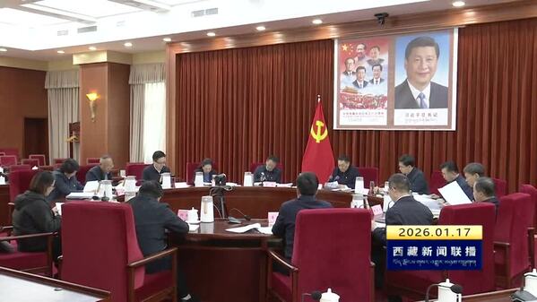 西藏自治区政府党组召开2025年度民主生活会