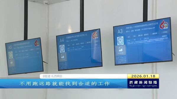 【“十四五”答卷——“四件大事”成果巡礼】 民生暖流润高原 编织多彩就业路