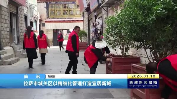 拉萨市城关区以精细化管理打造宜居新城