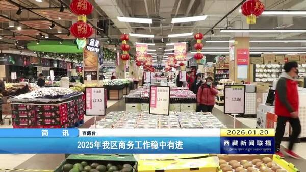 2025年西藏自治区商务工作稳中有进