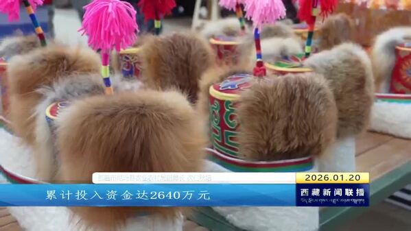 尼玛县：牧业大变样 群众日子节节高