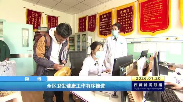 西藏自治区卫生健康工作有序推进