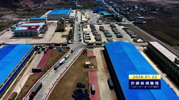 “藏字号”产品出口亮眼 西藏自治区报关单位备案累计达1476家