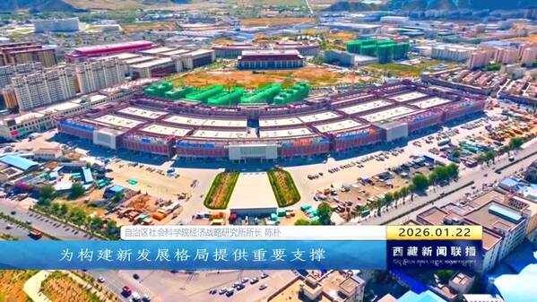 2025年西藏自治区经济总量历史性突破3000亿元大关