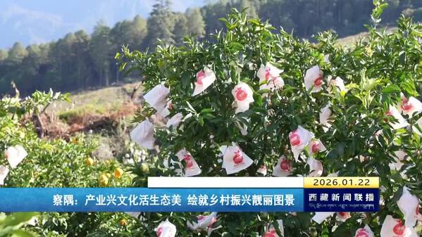 察隅：产业兴文化活生态美 绘就乡村振兴靓丽图景